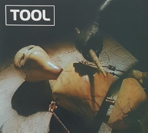 Tool : I Know the Pieces Fit Cuz I Watched Them Fall